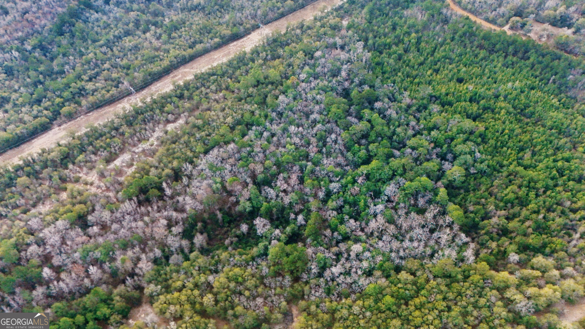 0 Lovely Grove Church Road Eastman, GA 31023 - Photo 6 of 7 a view of a garden with a plant