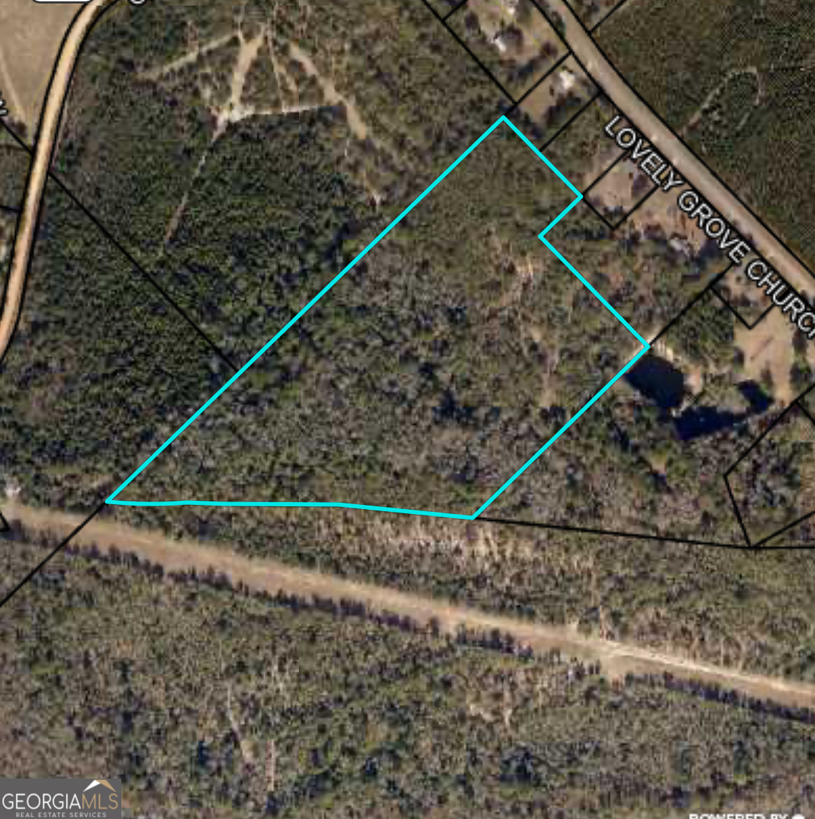 0 Lovely Grove Church Road Eastman, GA 31023 - Photo 7 of 7 a view of a backyard