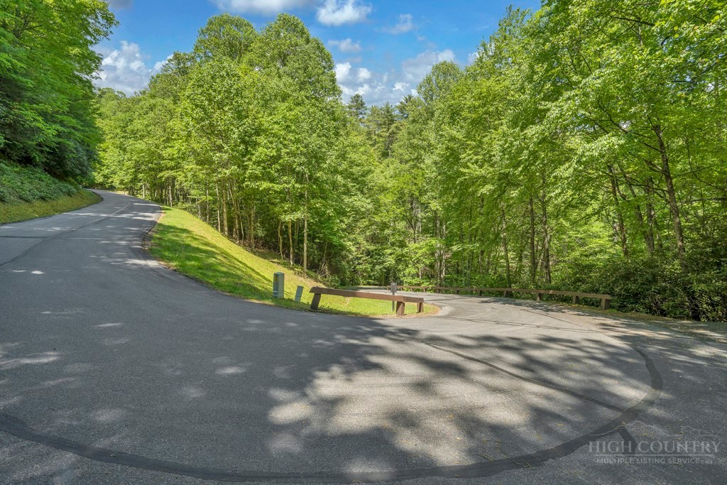 Lot 36 Daisy Ridge Road Banner Elk, NC 28604 - Photo 27 of 34 Gallery Image 27