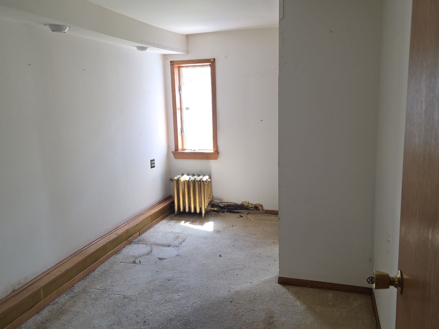 3626 149th Street Midlothian, IL 60445 - Photo 8 of 13