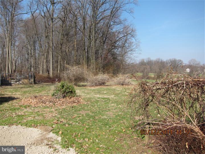 449 Pemberton Road Kennett Square, PA 19348 - Photo 4 of 15 Back Yard