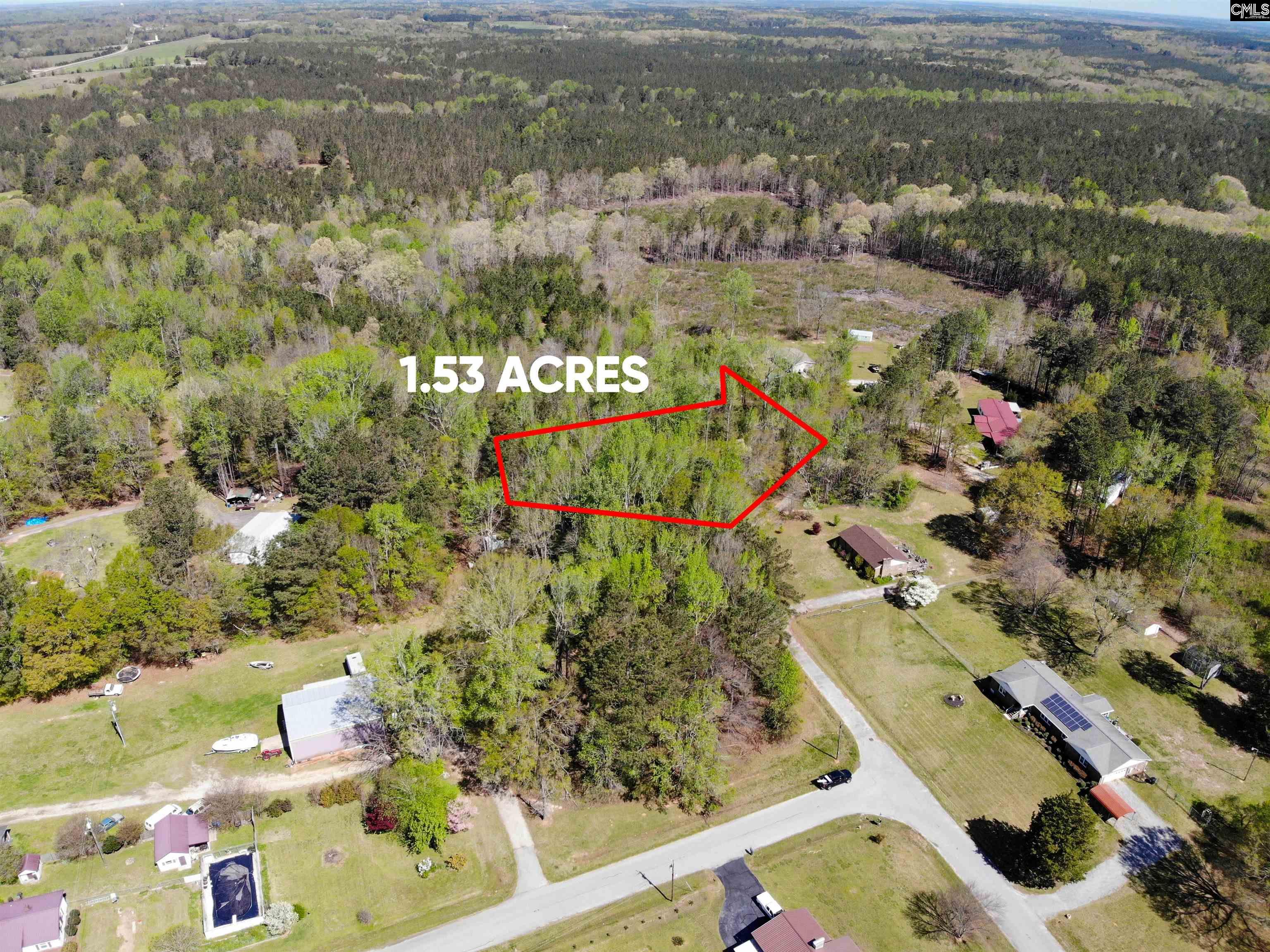 Tbd James Road Joanna, SC 29351 - Photo 15 of 82