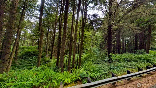 a view of outdoor space and trees