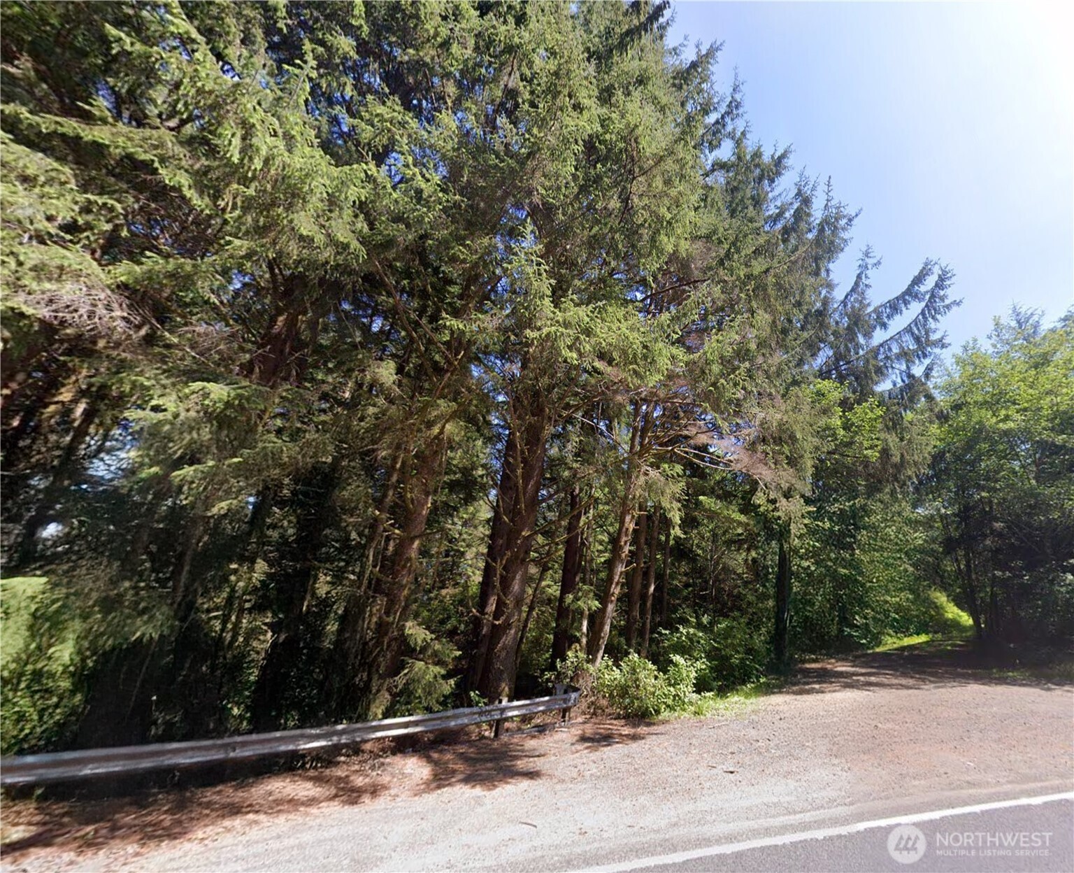 0 Roosevelt Beach Pacific Beach, WA 98571 - Photo 2 of 10 a view of a yard
