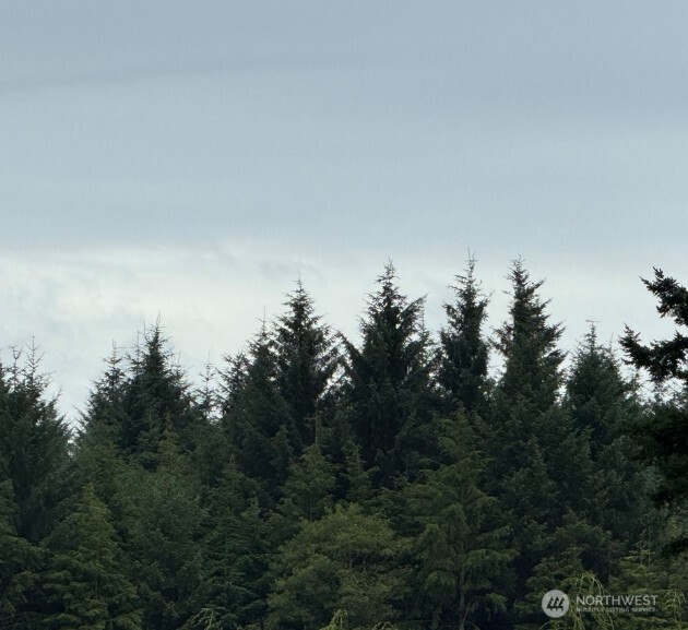 0 Roosevelt Beach Pacific Beach, WA 98571 - Photo 2 of 8 a view of a city