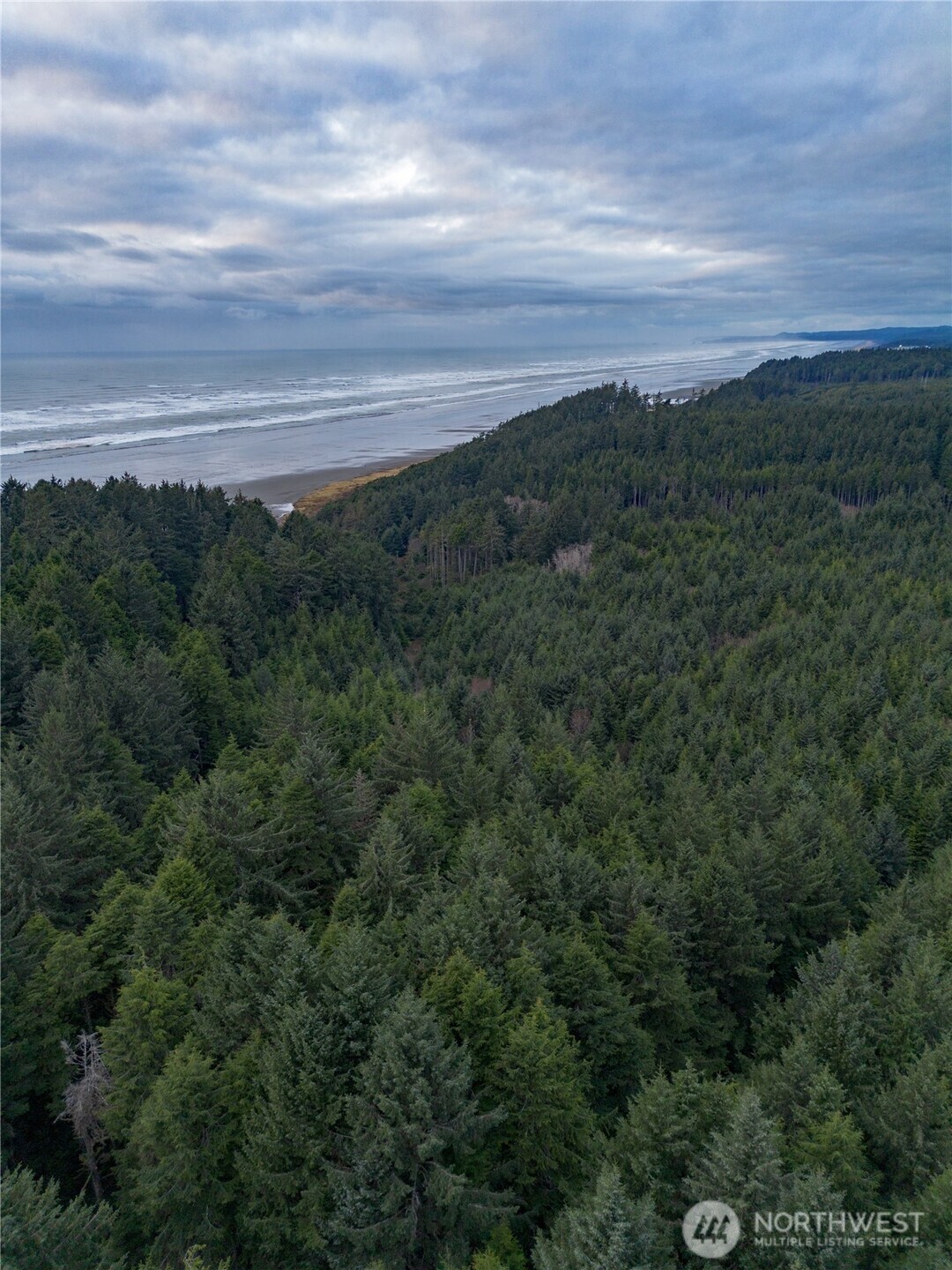 0 Roosevelt Beach Pacific Beach, WA 98571 - Photo 3 of 8 a view of a field with an ocean