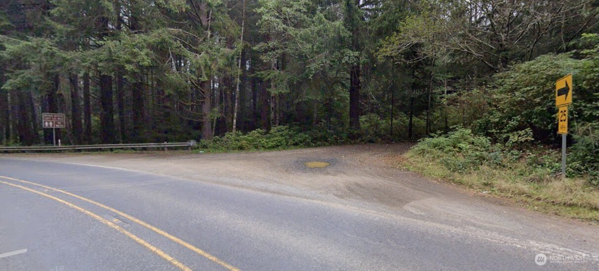 0 Roosevelt Beach Pacific Beach, WA 98571 - Photo 3 of 10 a view of backyard with green space