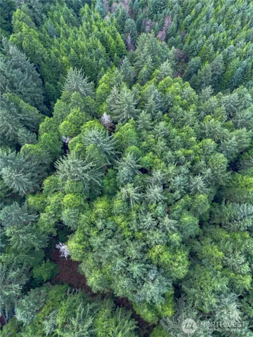 an aerial view of residential house with outdoor space and trees all around