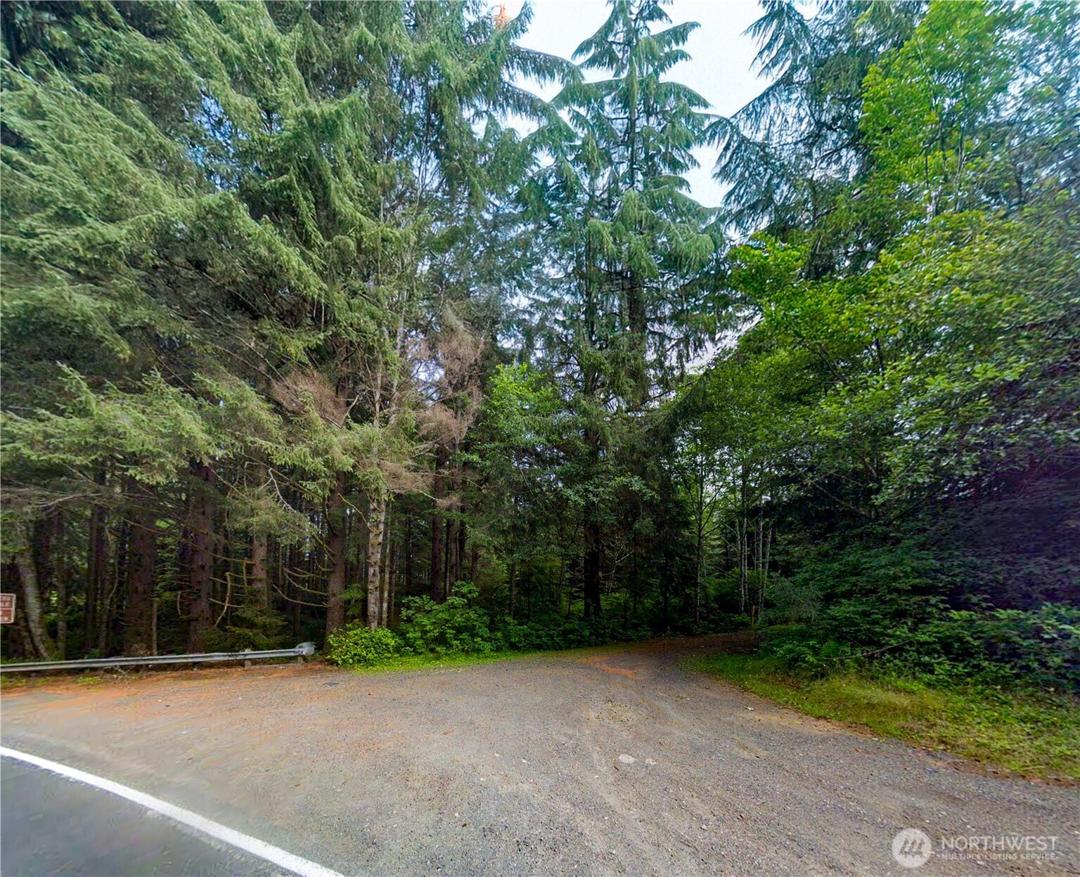 0 Roosevelt Beach Pacific Beach, WA 98571 - Photo 4 of 10 a view of a street with a house in the background