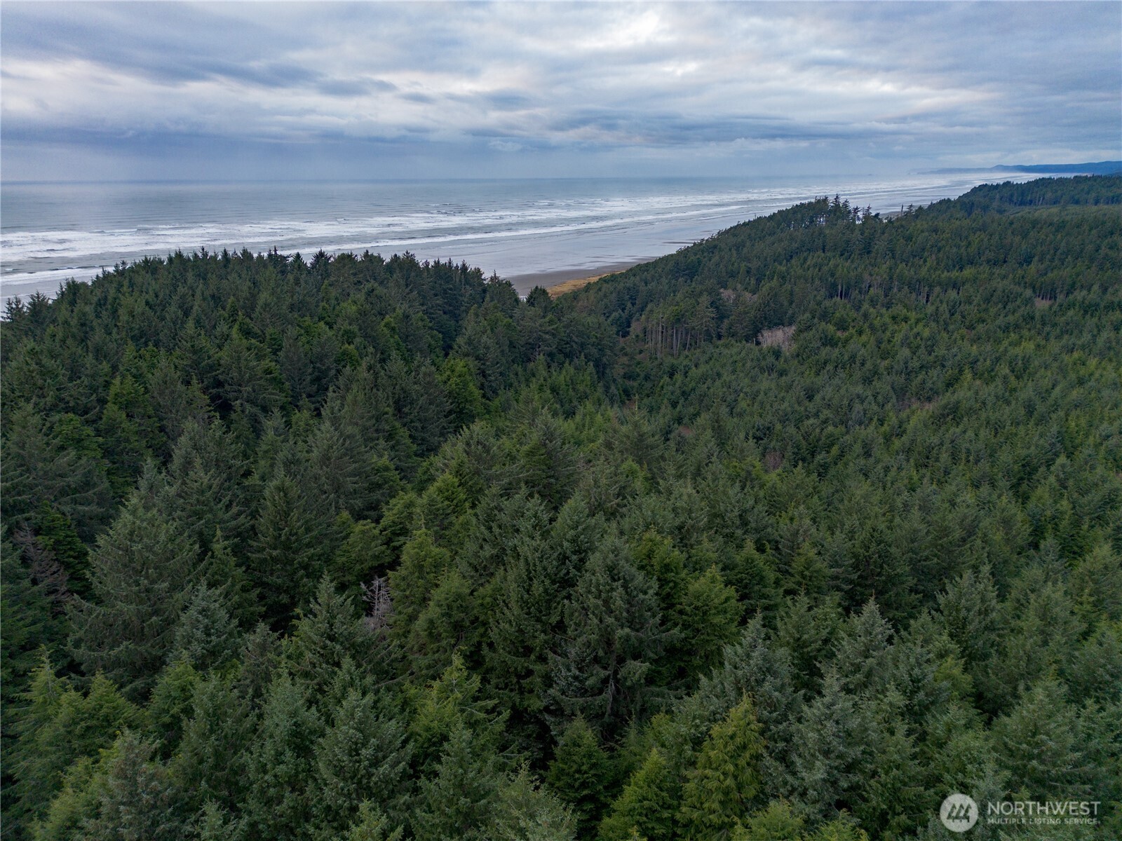 0 Roosevelt Beach Pacific Beach, WA 98571 - Photo 5 of 10 a view of a green field with lots of bushes
