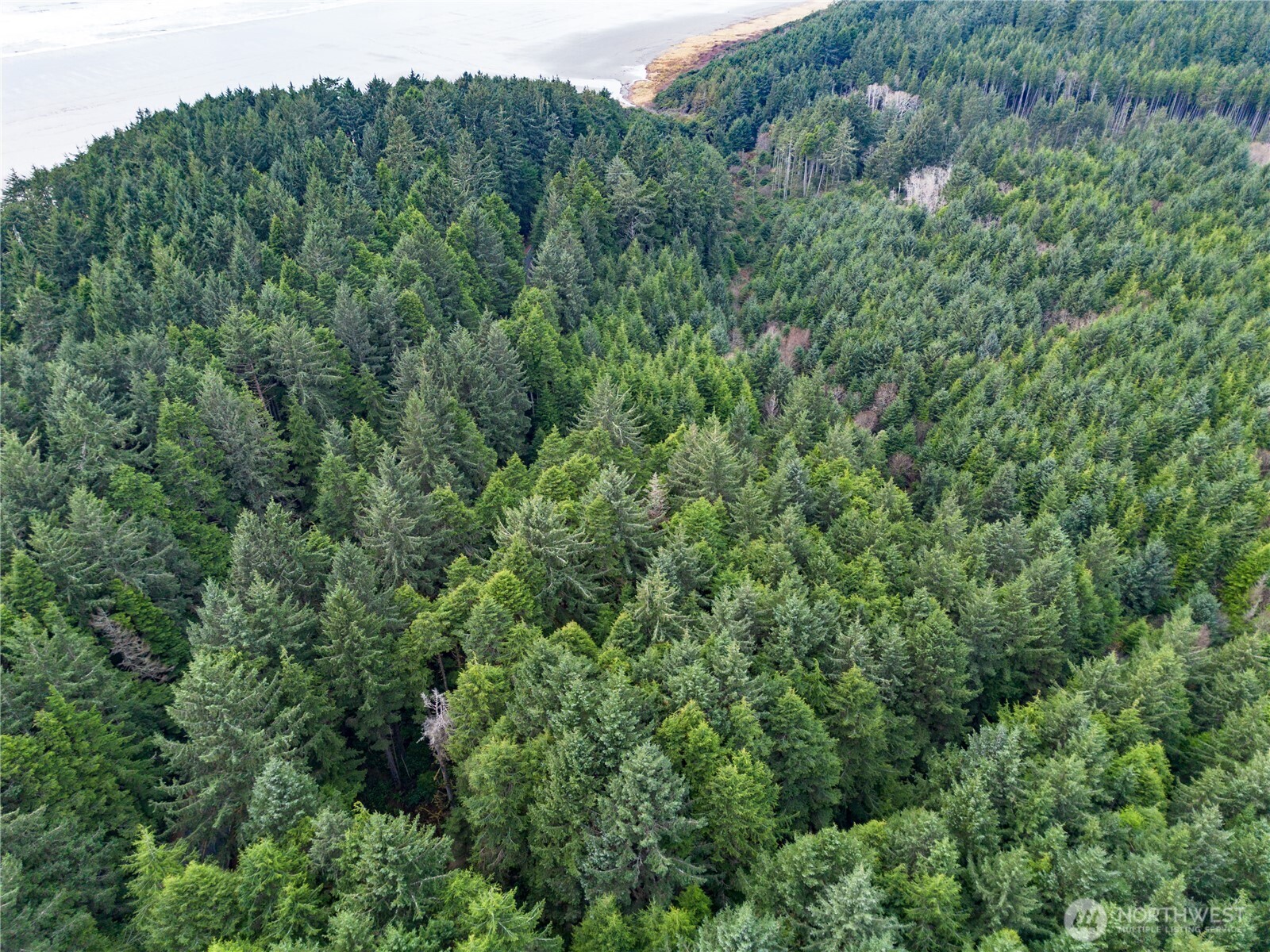 0 Roosevelt Beach Pacific Beach, WA 98571 - Photo 5 of 8 an aerial view of a house with a lush green forest