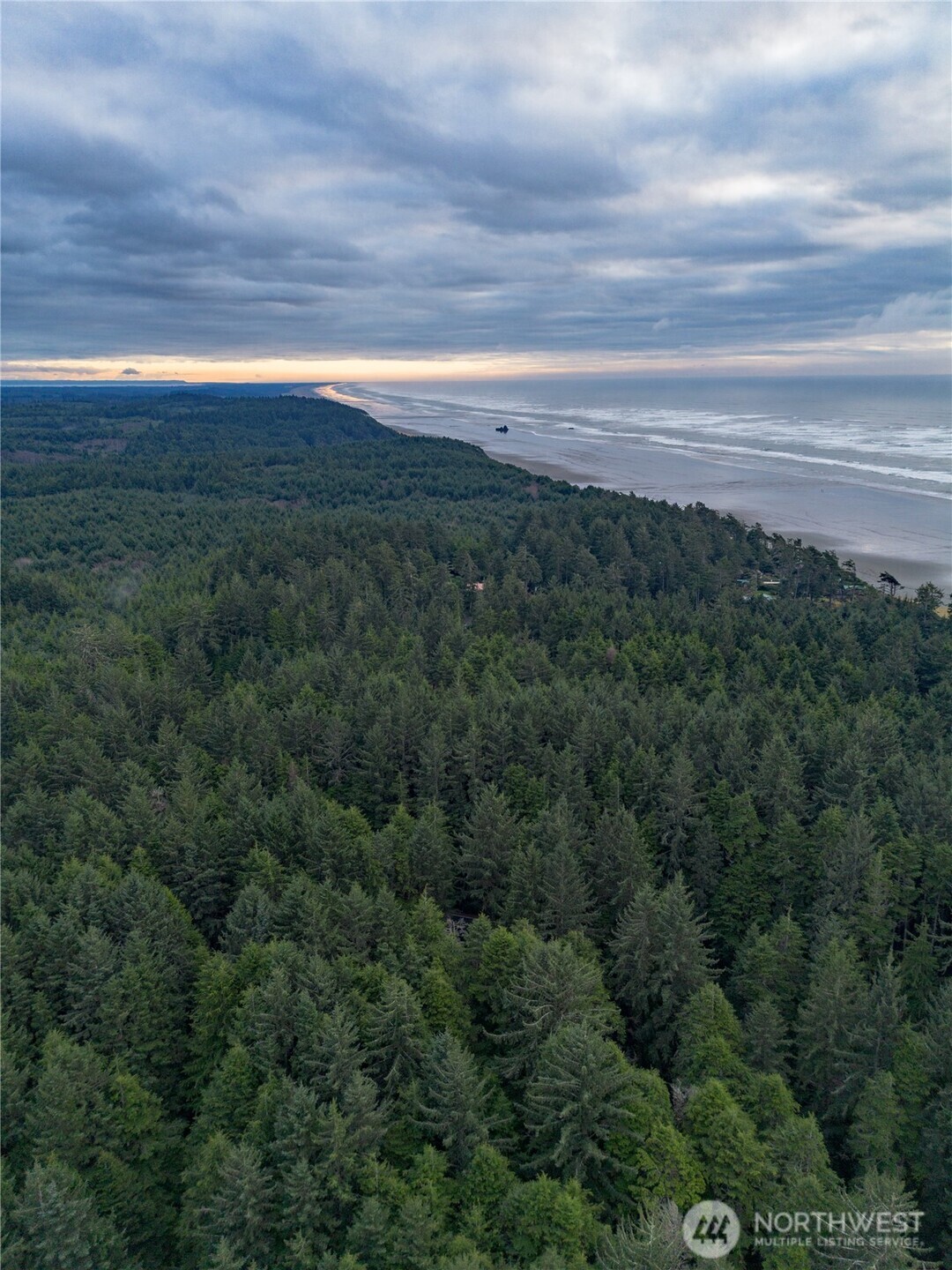 0 Roosevelt Beach Pacific Beach, WA 98571 - Photo 7 of 8 a view of a big yard with lots of bushes
