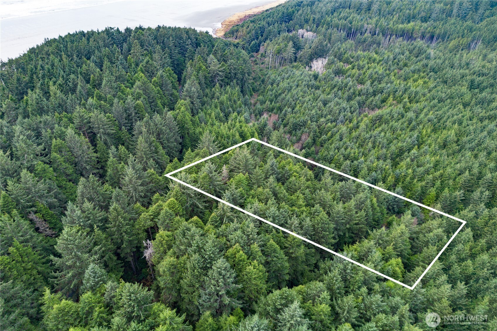 0 Roosevelt Beach Pacific Beach, WA 98571 - Photo 8 of 10 a view of a yard with a tree