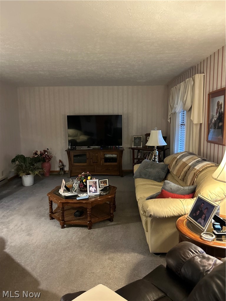 73323 Old Twenty One Road Kimbolton, OH 43749 - Photo 5 of 14 Carpeted living room featuring a textured ceiling and wallpapered walls