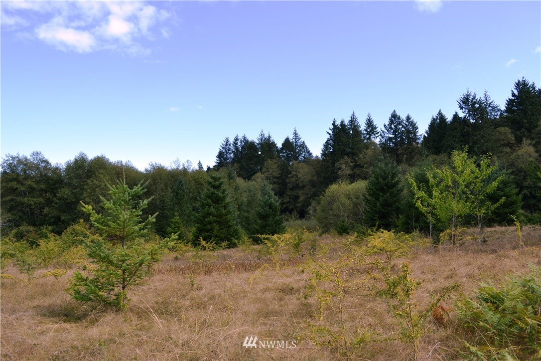 4476 Northeast Rova Road Poulsbo, WA 98370 - Photo 14 of 23 Gallery Image 14