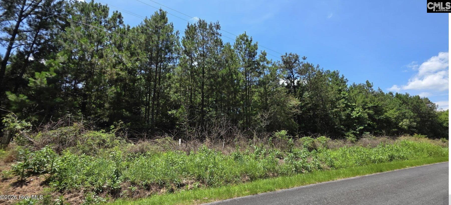 10-acres Chestnut Ridge Road McCormick, SC 29835 - Photo 2 of 4 Gallery Image 2