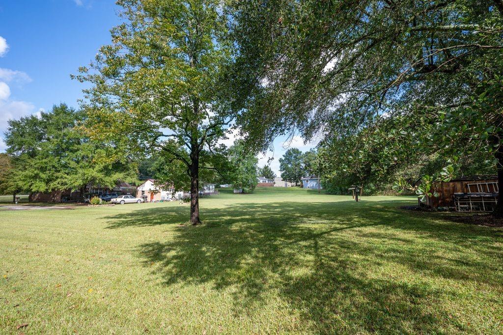 1316 Highway 41 Calhoun, GA 30701 - Photo 8 of 13 a view of a park with large trees