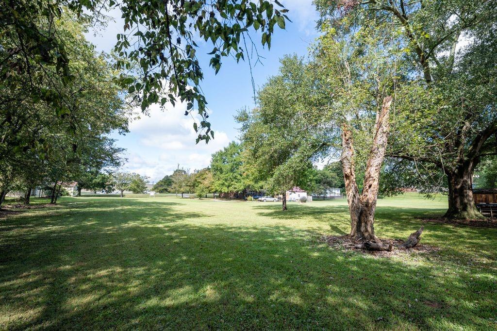 1316 Highway 41 Calhoun, GA 30701 - Photo 10 of 13 a view of a field with a tree