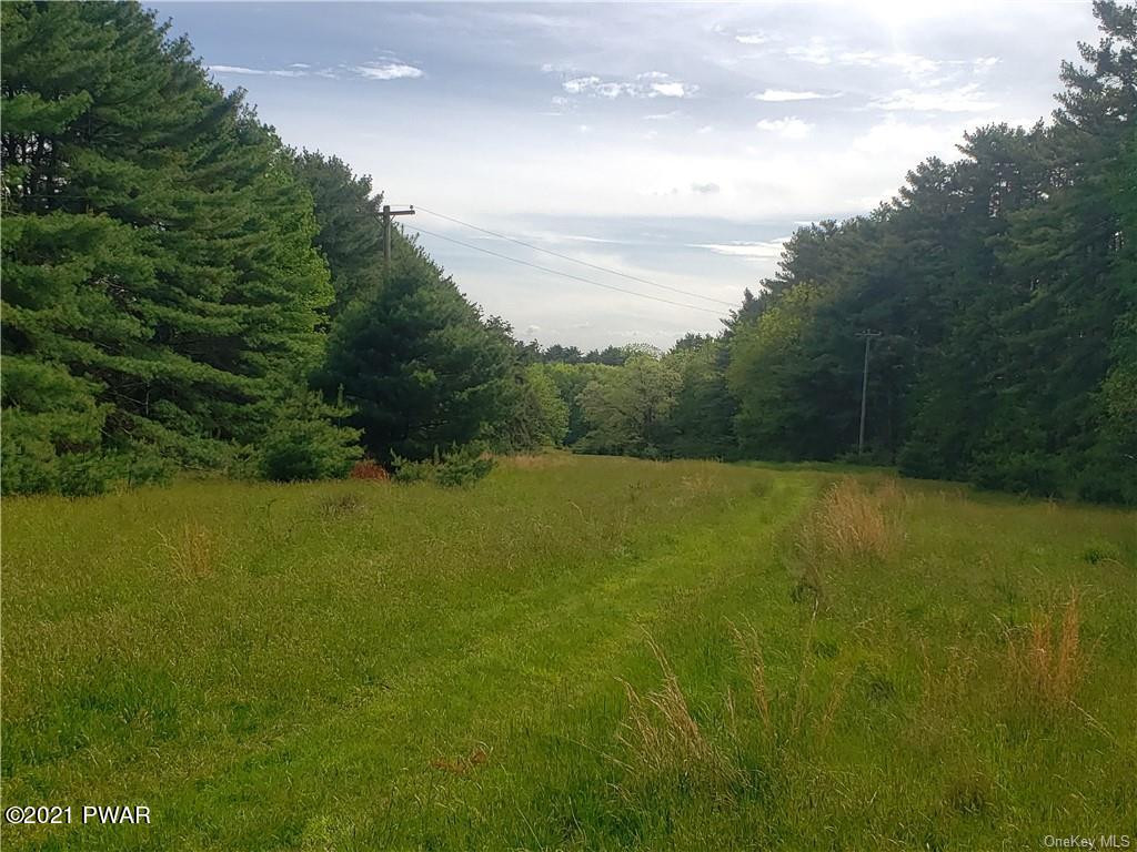 Mud Pond Road Highland Lake, NY 12743 - Photo 13 of 13