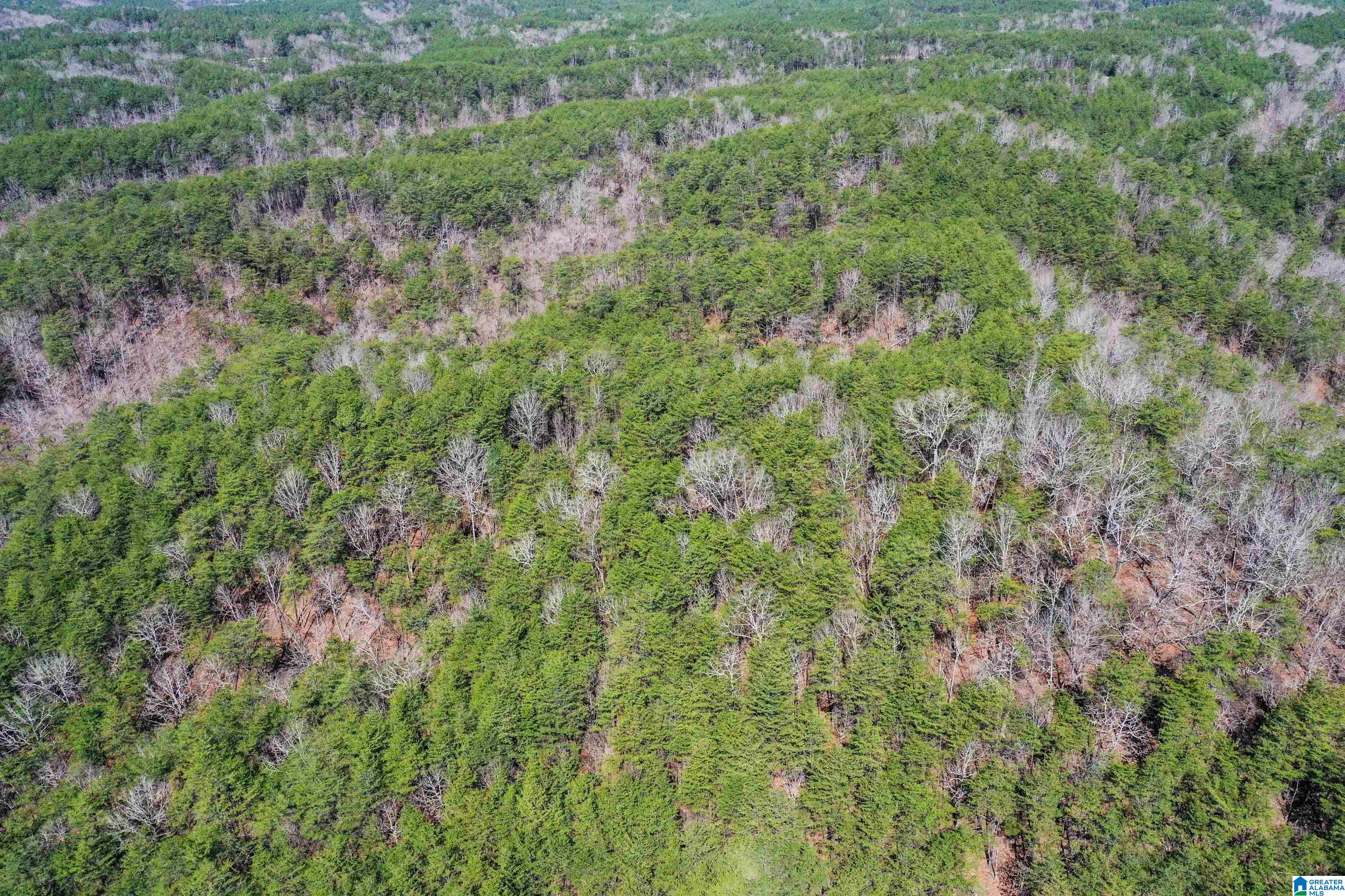 565 Hiawatha Road Calera, AL 35040 - Photo 19 of 27