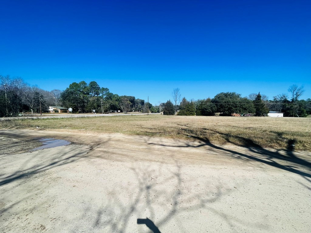 1531 Peach Orchard Road Sumter, SC 29154 - Photo 3 of 9