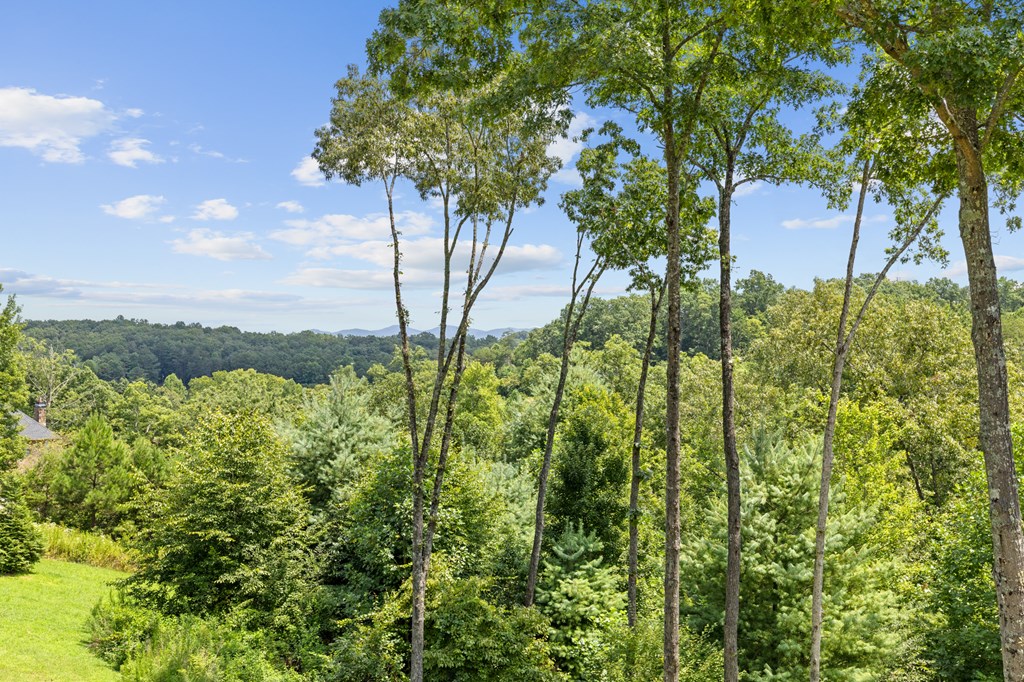 308 Woodthrush Drive Blue Ridge, GA 30513 - Photo 60 of 60 Gallery Image 60