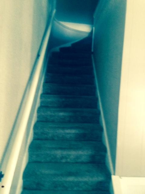 401 Sheldon Road Grand Haven, MI 49417 - Photo 12 of 29 401 Stairway (1)