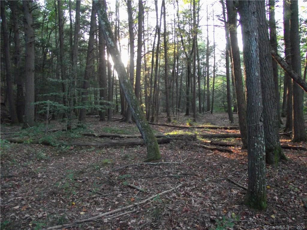 Lot 17 Shailor Hill Road Colchester, CT 06415 - Photo 1 of 1 Gallery Image 1
