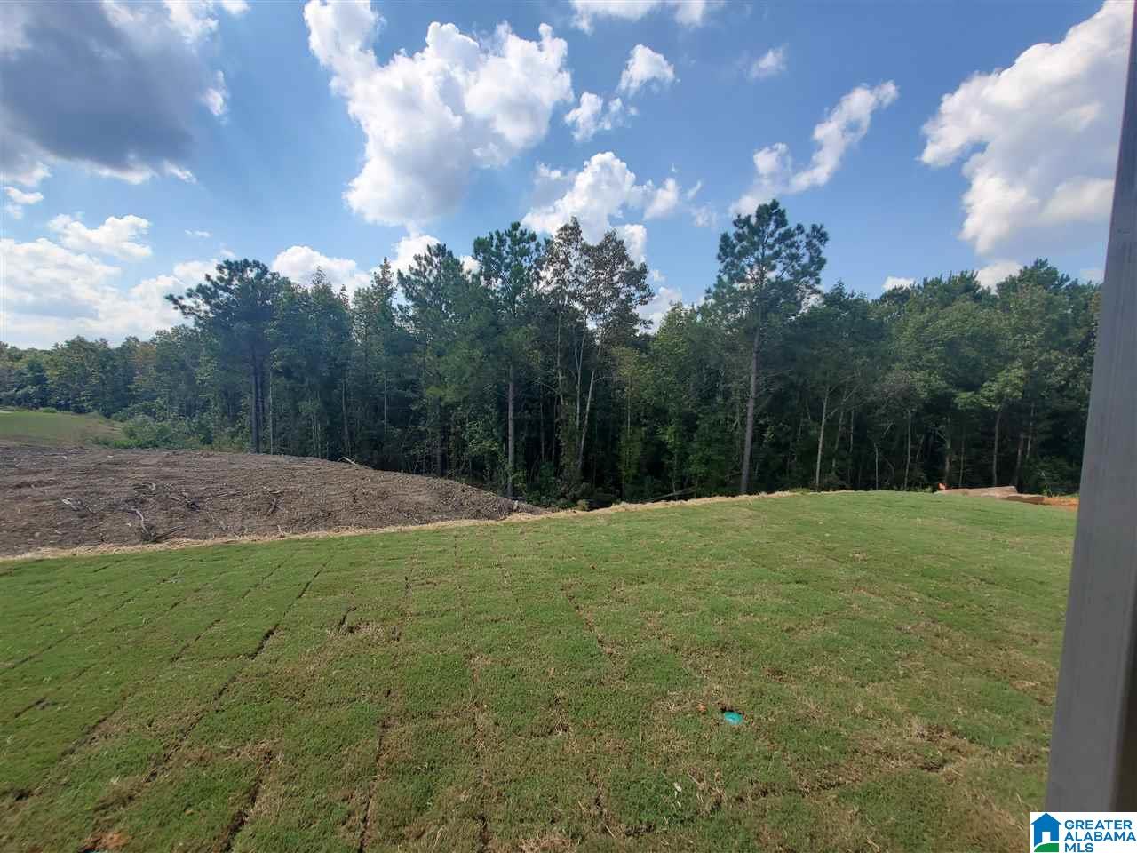 8115 Madison Avenue Helena, AL 35080 - Photo 4 of 30