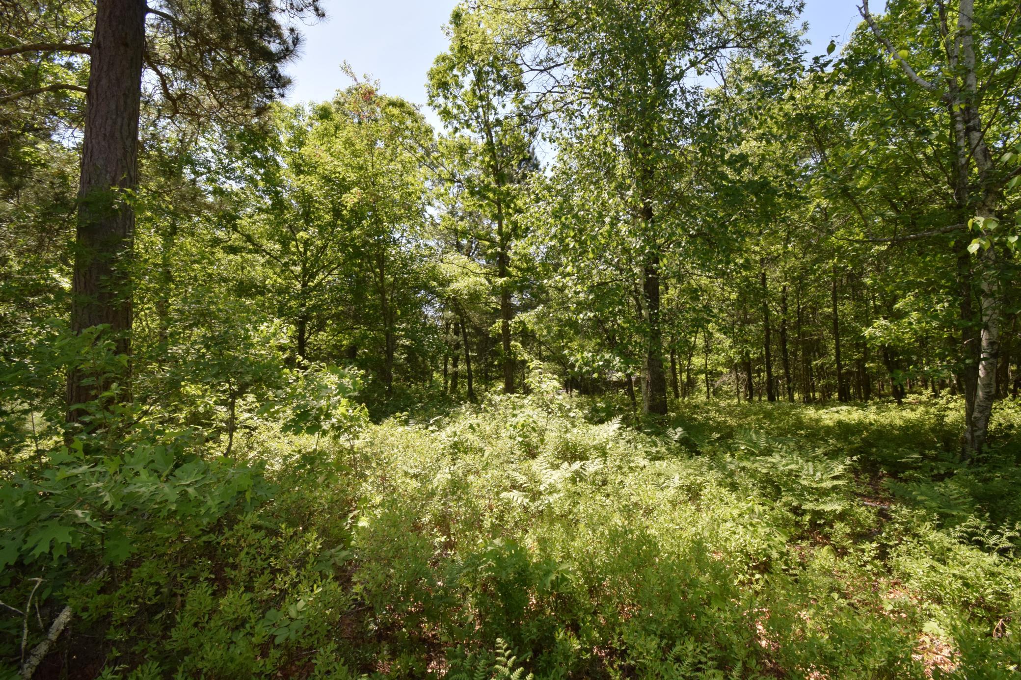 29093 Deerpath Pass Danbury, WI 54830 - Photo 73 of 94