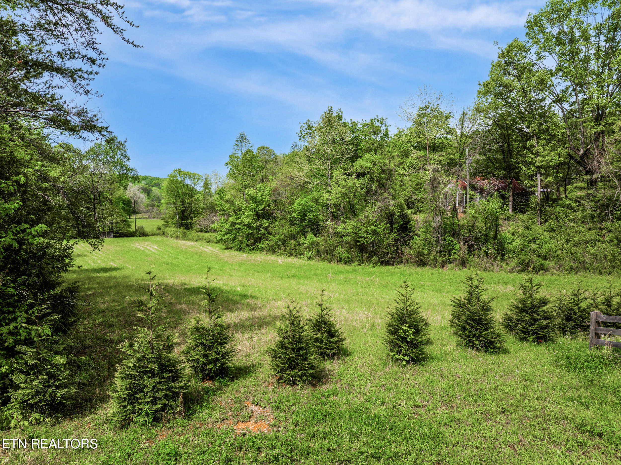 1478 Old Chilhowee Road Seymour, TN 37865 - Photo 16 of 45 19_012