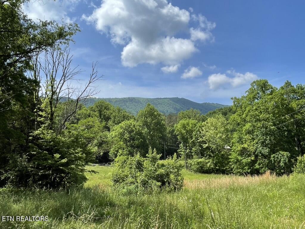 1478 Old Chilhowee Road Seymour, TN 37865 - Photo 27 of 45 712404D0-1C85-41BB-95C3-56F8F57B0A06_1_1