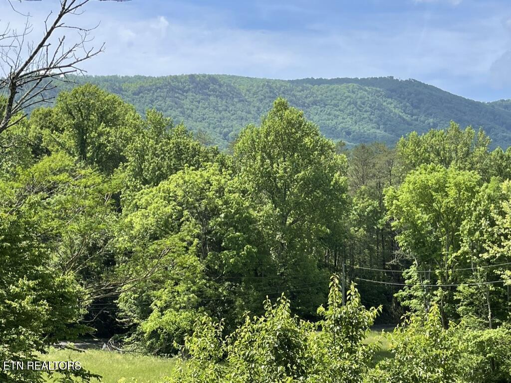 1478 Old Chilhowee Road Seymour, TN 37865 - Photo 28 of 45 CCE87530-056C-41AB-8DF4-D8FE5F99FA32_1_1