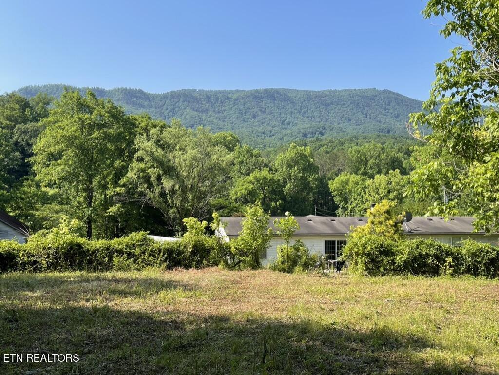 1478 Old Chilhowee Road Seymour, TN 37865 - Photo 30 of 45 057EADA5-D52C-4373-AC4F-6201DDC855A2_1_1