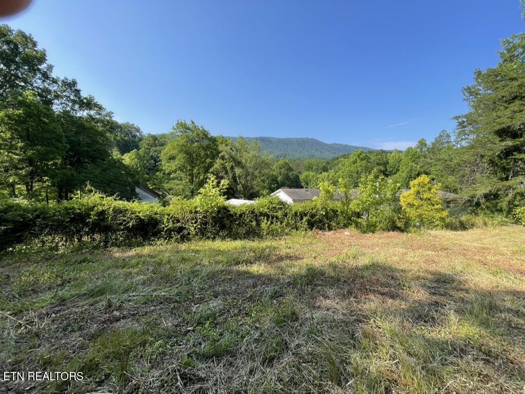 1478 Old Chilhowee Road Seymour, TN 37865 - Photo 31 of 45 CEF16C54-A5C5-44DB-A233-8F78AFD0A432_1_1