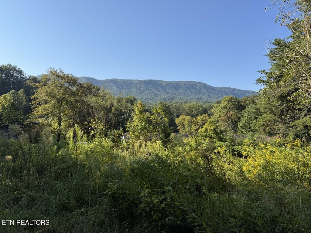 1478 Old Chilhowee Road Seymour, TN 37865 - Photo 33 of 45 D797A8D9-A473-4BB1-B5E5-9B581F1CF9D7_1_1
