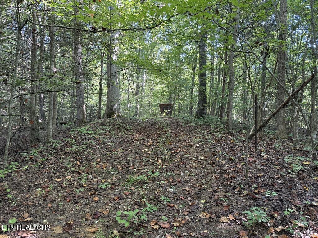 1478 Old Chilhowee Road Seymour, TN 37865 - Photo 35 of 45 F8FDC1B5-9EBA-42D6-B632-4406C014C922_1_1