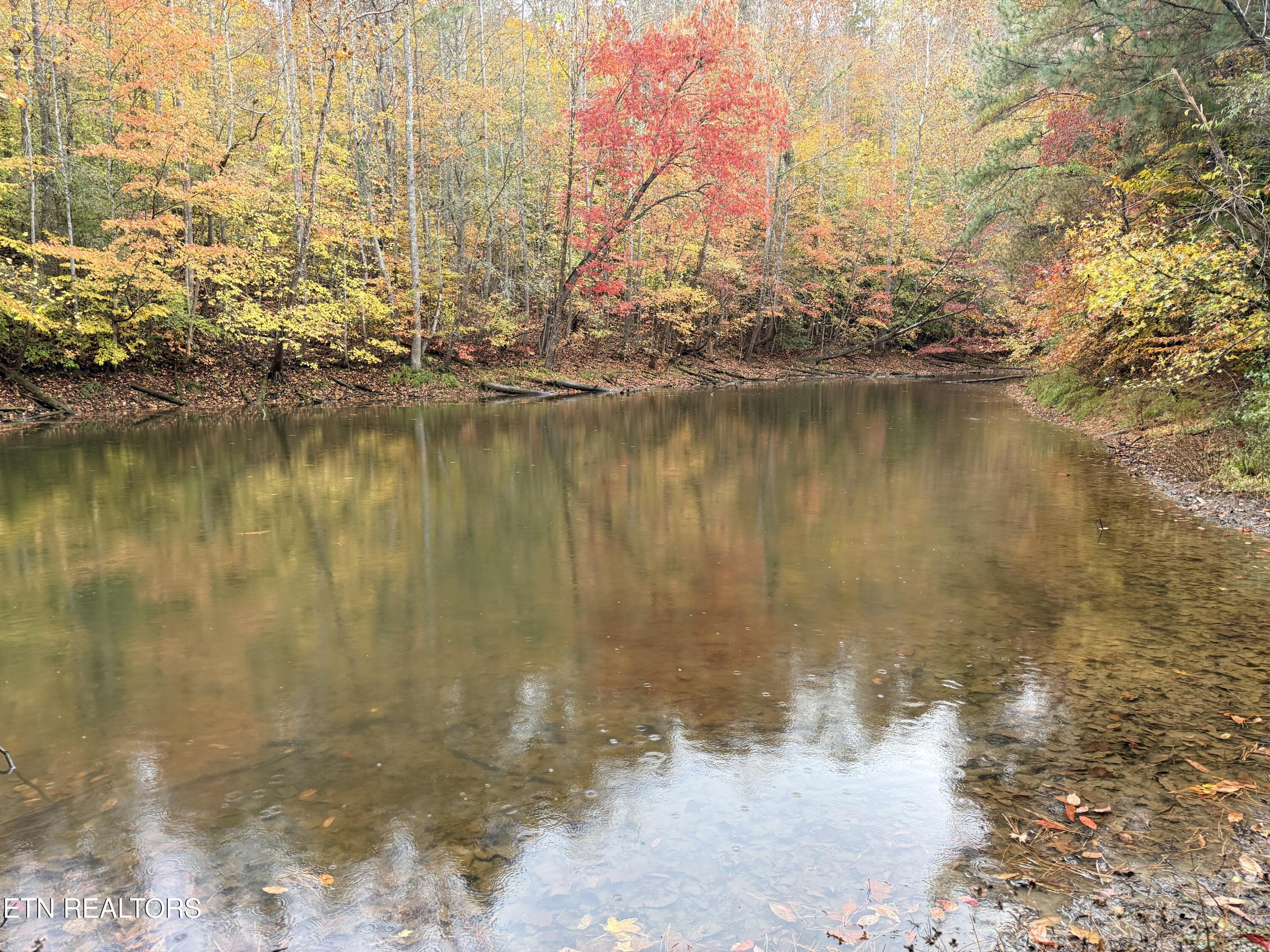 1478 Old Chilhowee Road Seymour, TN 37865 - Photo 45 of 45 IMG_1037