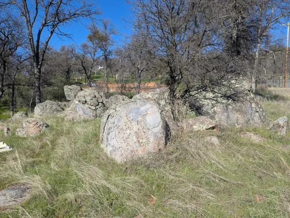 a view of a backyard of the house