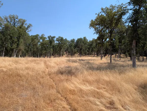 a view of covered with snow