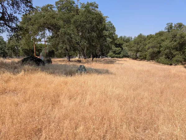 a view of swimming pool with a yard