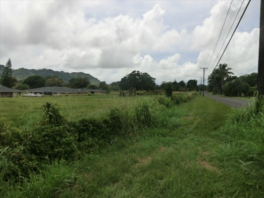 143 Puuopae Road Kapaa, HI 96746 - Photo 1 of 4 Gallery Image 1