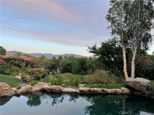 a view of a garden with plants and large trees