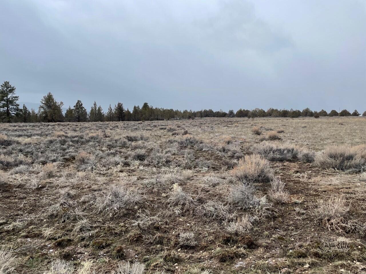 Cowlitz Street Chiloquin, OR 97624 - Photo 1 of 3 lot 51 2