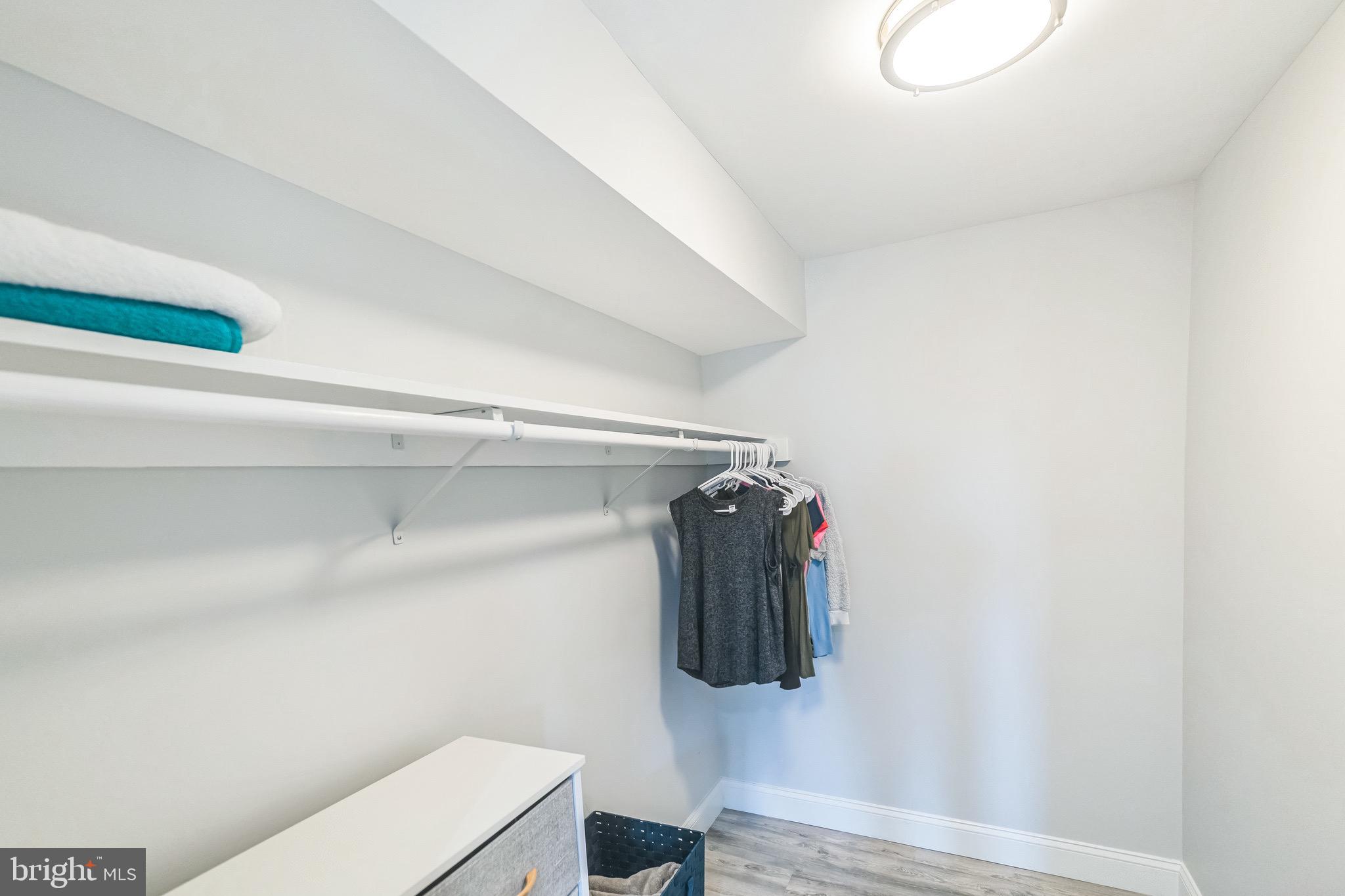 305 Elk Trail Winchester, VA 22602 - Photo 22 of 46 Primary Bedroom 2 Walk-In Closet