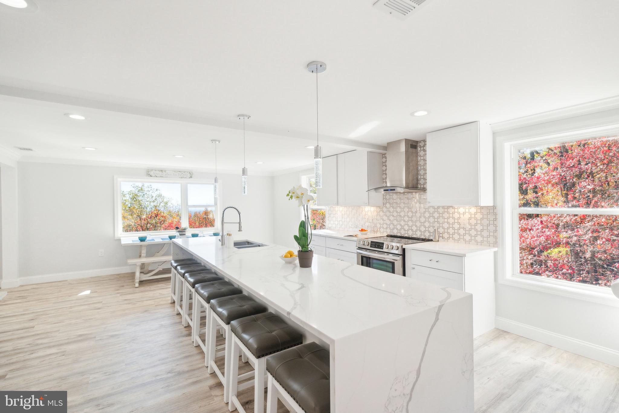 305 Elk Trail Winchester, VA 22602 - Photo 7 of 46 Kitchen