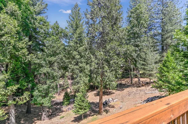 a view of a yard with a tree
