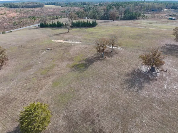 a view of a dry yard with trees