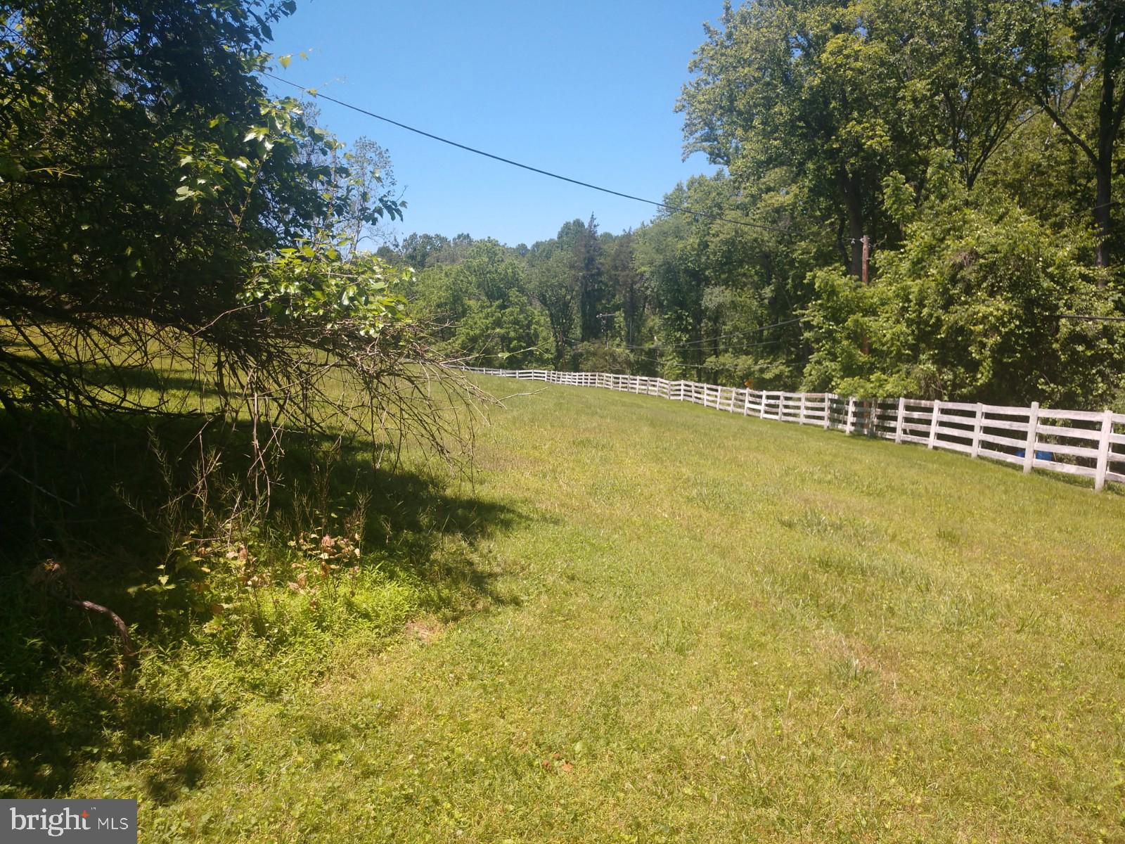 13301 Query Mill Road North Potomac, MD 20878 - Photo 3 of 6 Fabulous 2 acre lot