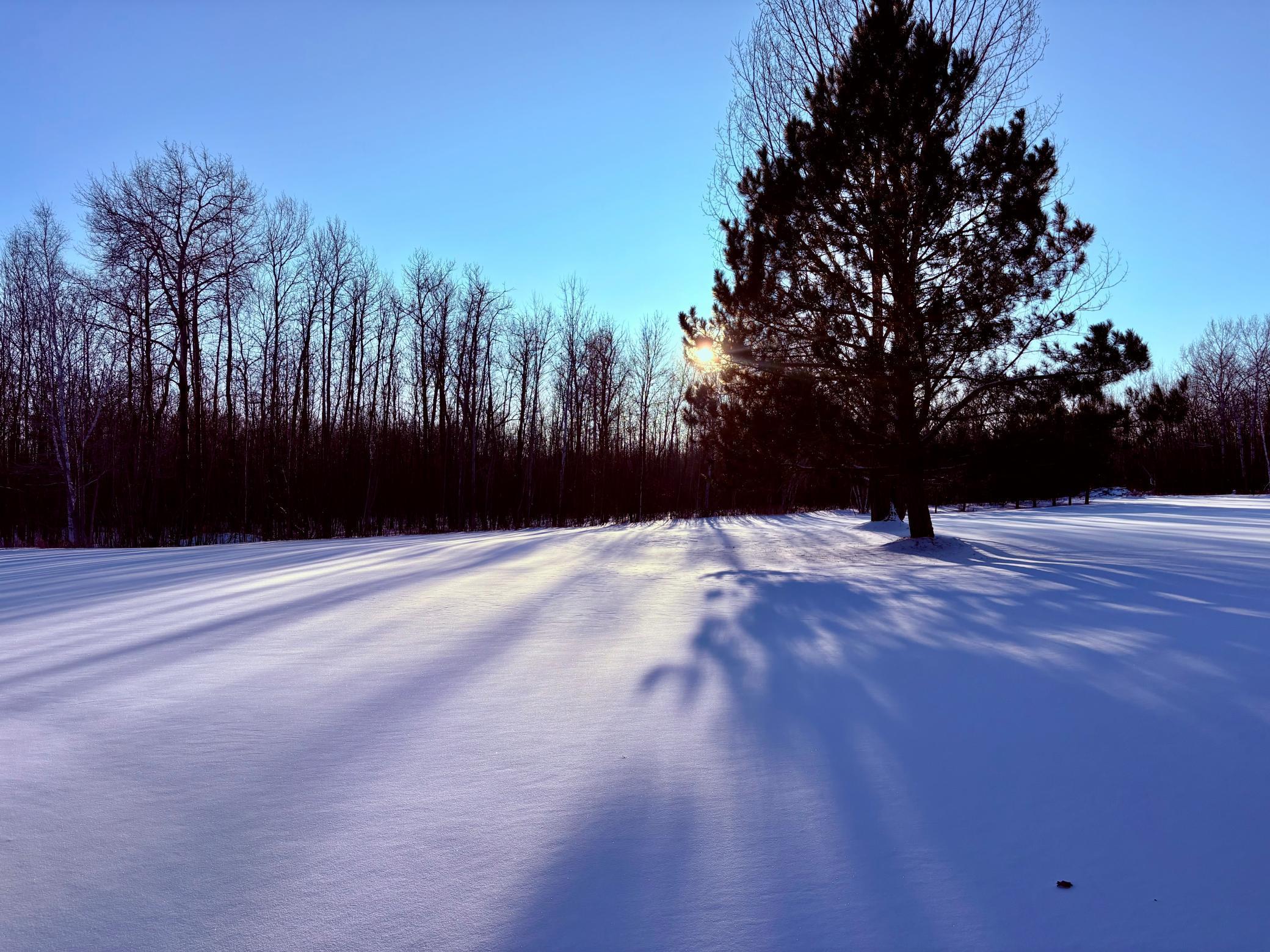 469 Mn-11 Williams, MN 56686 - Photo 38 of 61